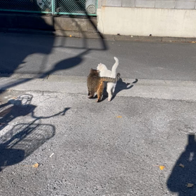 ◆可愛すぎるよの画像