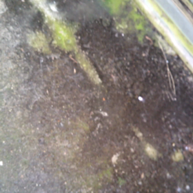 10月最後の日曜日   間違えた(>_<)の画像