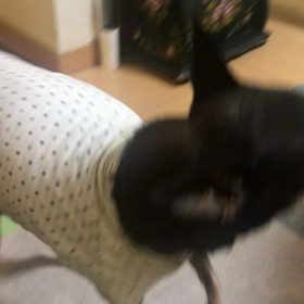 1ヶ月ぶりのふらつき(>_<)の画像