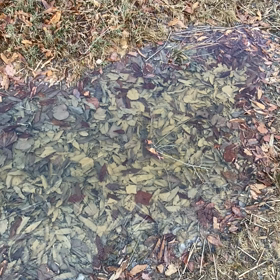 きっと　あなたもするでしょ？の画像