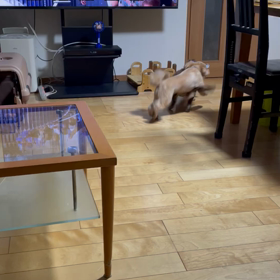 きったぞ、きたぞ…の画像