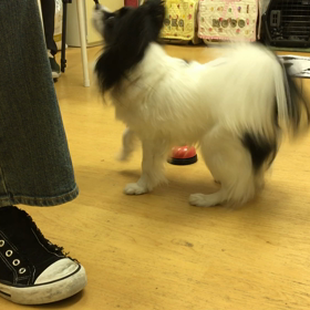 ひみこ編。の画像