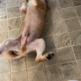 ウルトラC？の画像