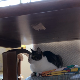 今日母退院！直前にドキドキが止まらない…の画像