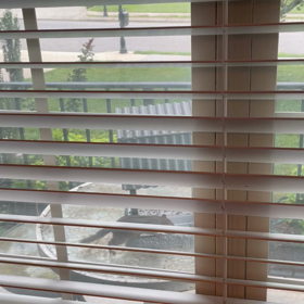 かわいい来客　の画像