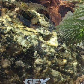 ジェームズの高速回転スイッチの画像