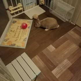 結構気にいってる？！の画像