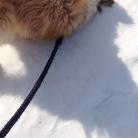 スリスリからのズンズン・・の画像