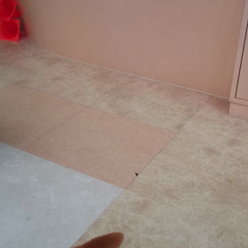 パピースクールの様子☆の画像