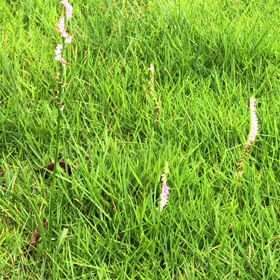 ご無沙汰しています。の画像