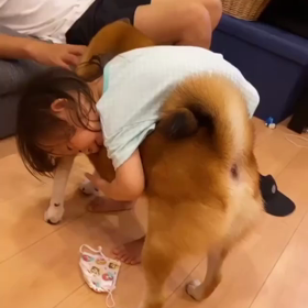 見返したくなる動画の画像