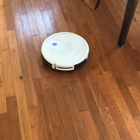 まとめて近況報告の画像