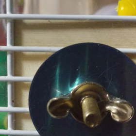 北海道産の画像