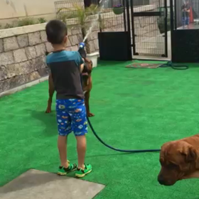 ちょっと早いサマータイム（≧∇≦）の画像