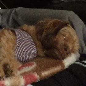 roll one's eyesの画像