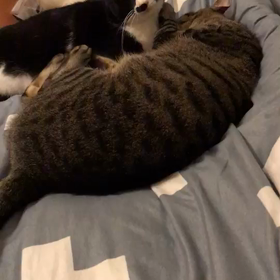 日々いろいろありすぎて。。の画像