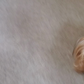 おはよう！の画像