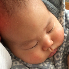 マエストロのいびきの画像