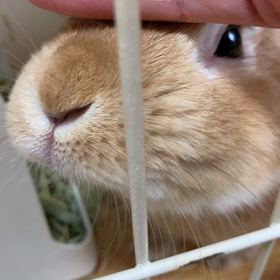 気持ちいいね〜の画像