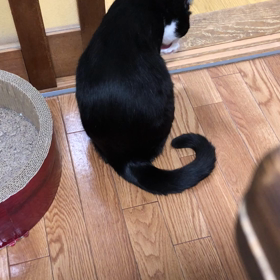 女子力高い系男子の画像