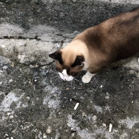 絡まれた (>_<)の画像