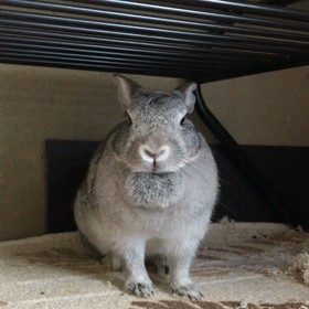 太ももが更に立派に！！の画像