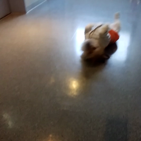 10th Anniversaryの画像