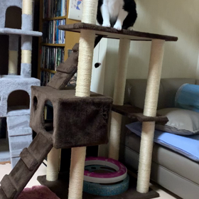 毎朝毎晩ハッスルハッスルの画像