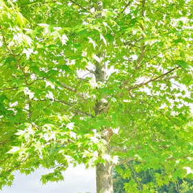 介護記録１０５（呼びまくる）の画像