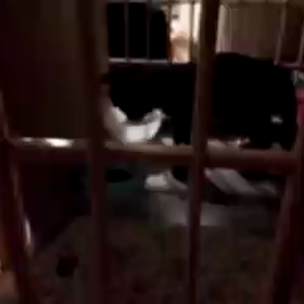 まさか、今から！？の画像