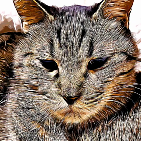 リクの愚痴の画像