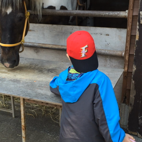 ホピの丘の画像