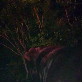 寝る前にの画像