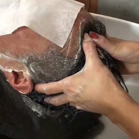 クレイパックを使ってヘッドスパの画像