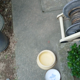 酔いどれさんのクロの画像