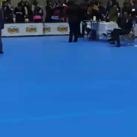 応援団からのプレゼント…その2の画像