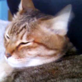 いつもの事ながら…の画像