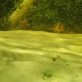 俺のお気に入りの画像