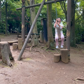 ありのみ動画①の画像