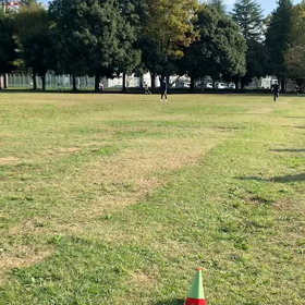 航空公園 400mインターバル①の画像