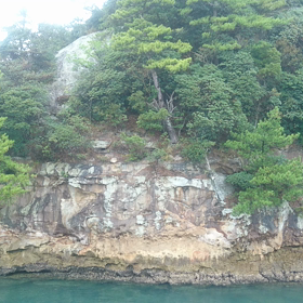 九十九島は変わらないの画像