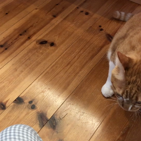 今朝のキュンまるの画像