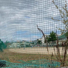 懐かしいな！の画像