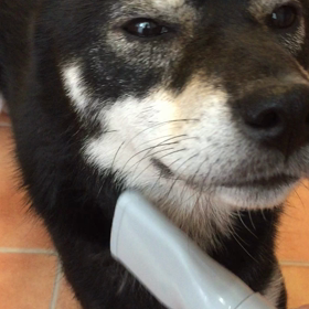 掃除の前に……の画像