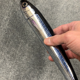 ラトル入り♪♪の画像