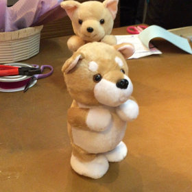 ちゃんと  はな 買ってや〜。の画像