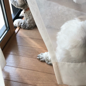 お見送りの画像