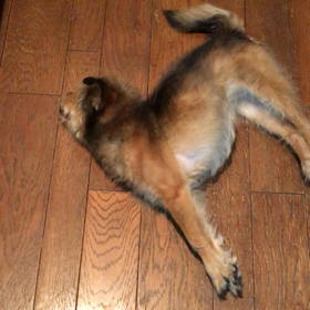 どうしたらいいんだ。の画像