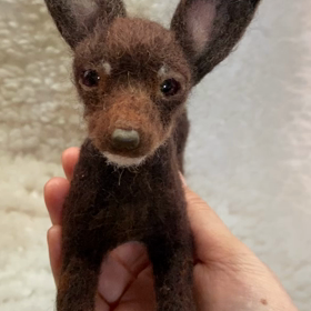 ミニチュアピンシャーの画像