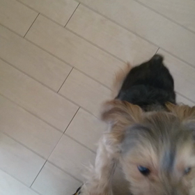 いっちょに行く人〜☆の画像